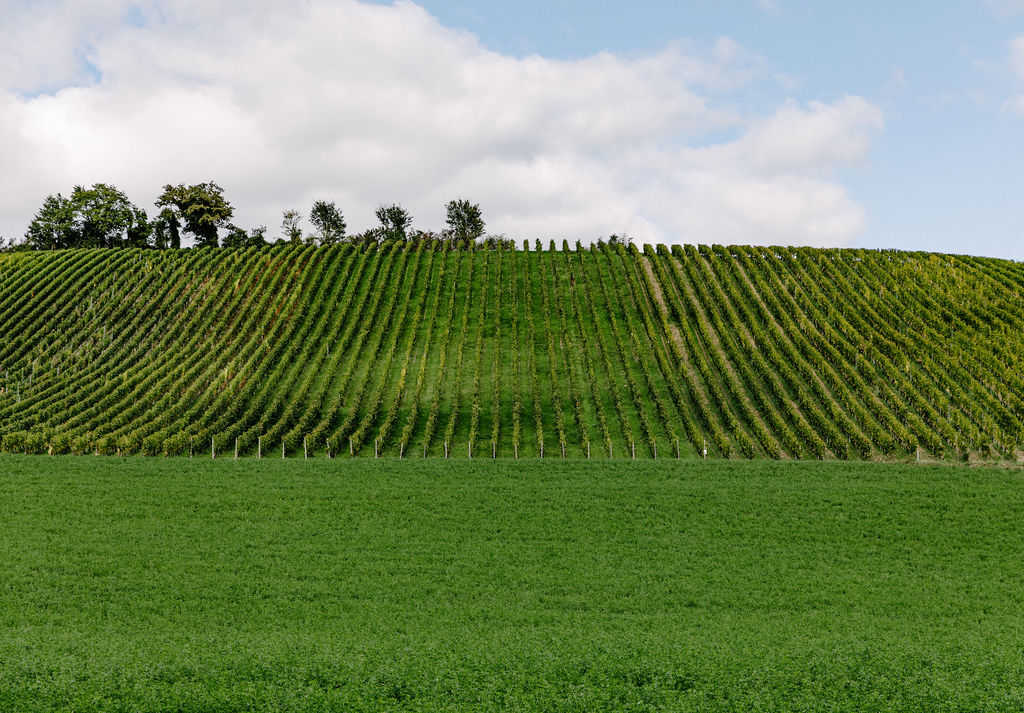 MCorrevon_0Q4A6660 copie